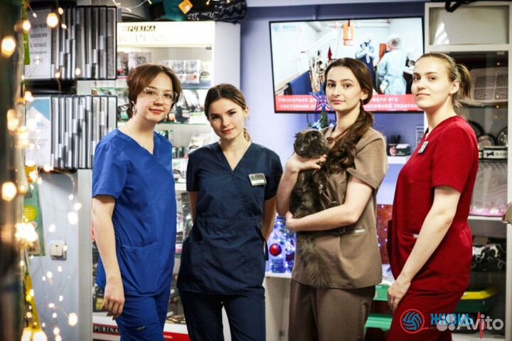 Ветеринарный врач