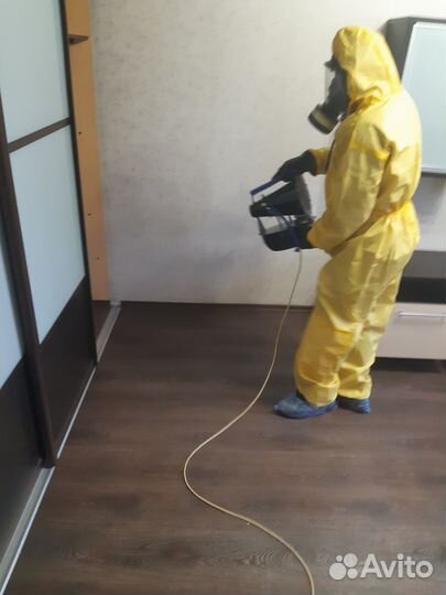 Дезинфекция