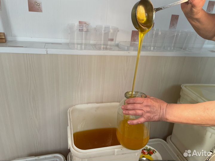 Мёд с собственной пасеки 2л