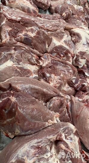 Мясо свинина оптом и в розницу