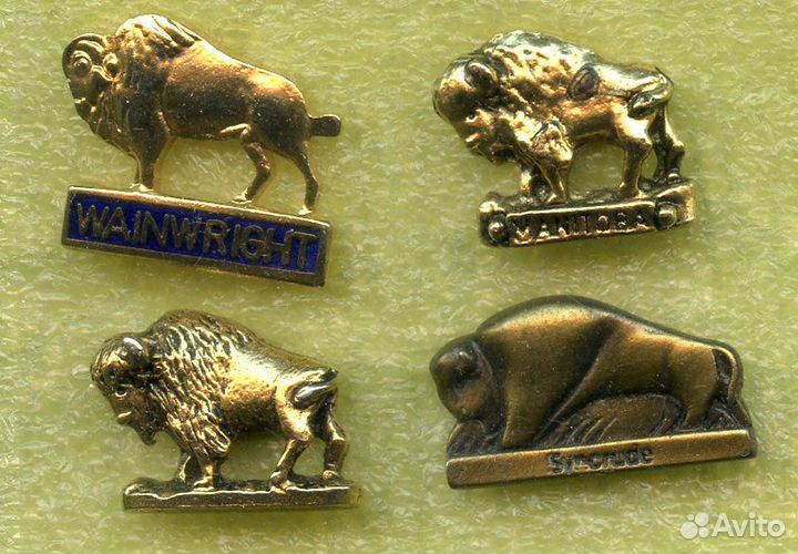 Значки Динозавры Мамонты Бизоны