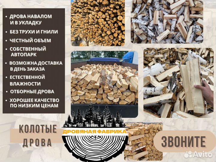 Дрова береза