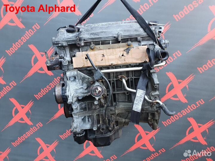 Двигатель 2AZ-FE Toyota Alphard