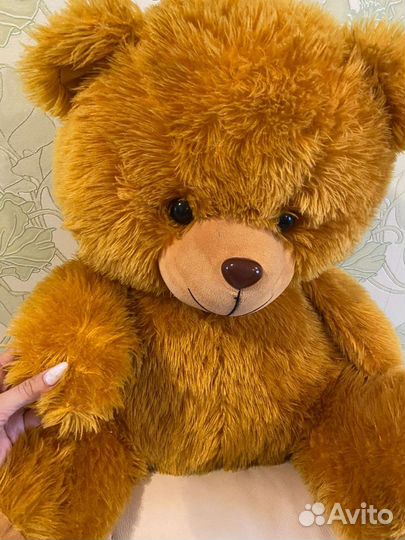 Плюшевый медведь