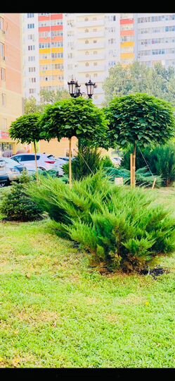 Квартира-студия, 28 м², 22/22 эт.