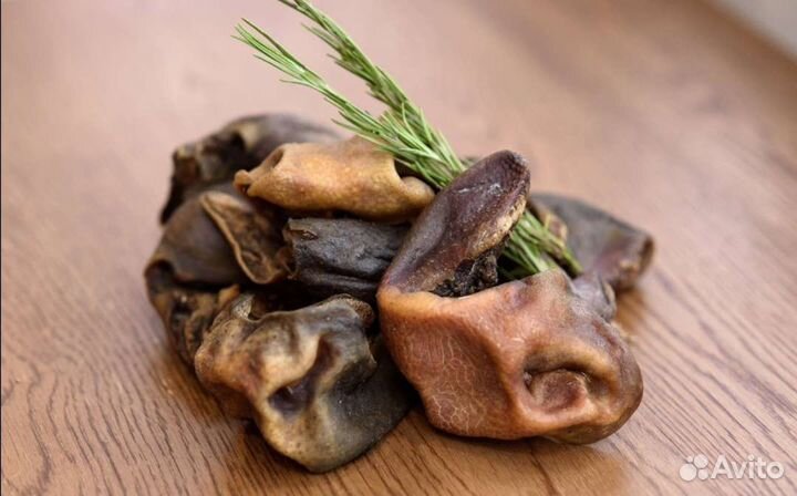 Лакомства для собак