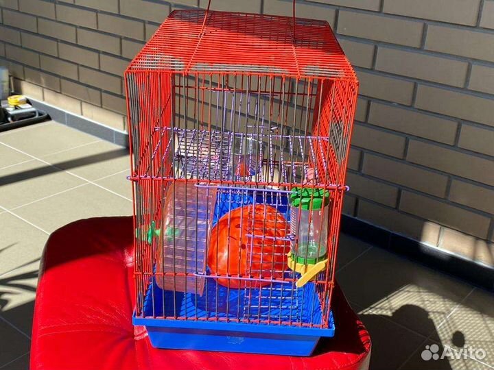Клетка для грызунов бу