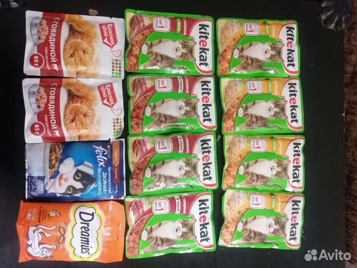 Кошачьи принадлежности