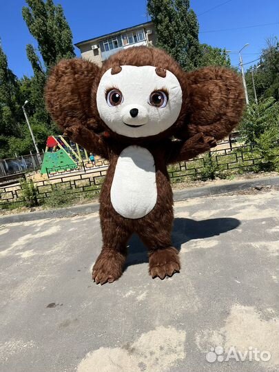 Чебурашка на Праздник,Поздравление от Чебурашки