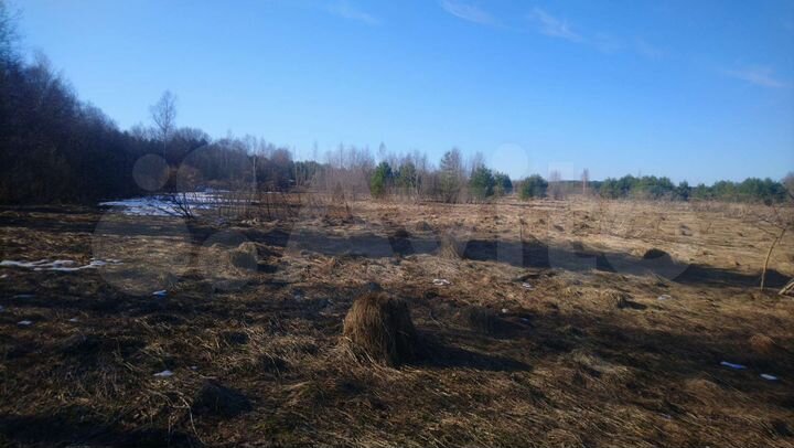 Участок 5,3 га (ИЖС)