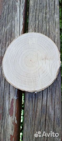 Спил дерева