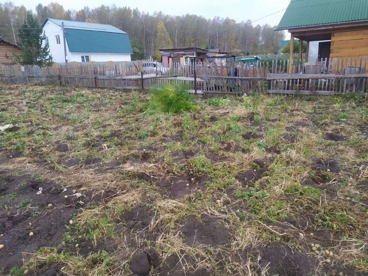 Участок 10 сот. (СНТ, ДНП)