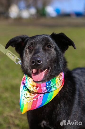 Милая Берта