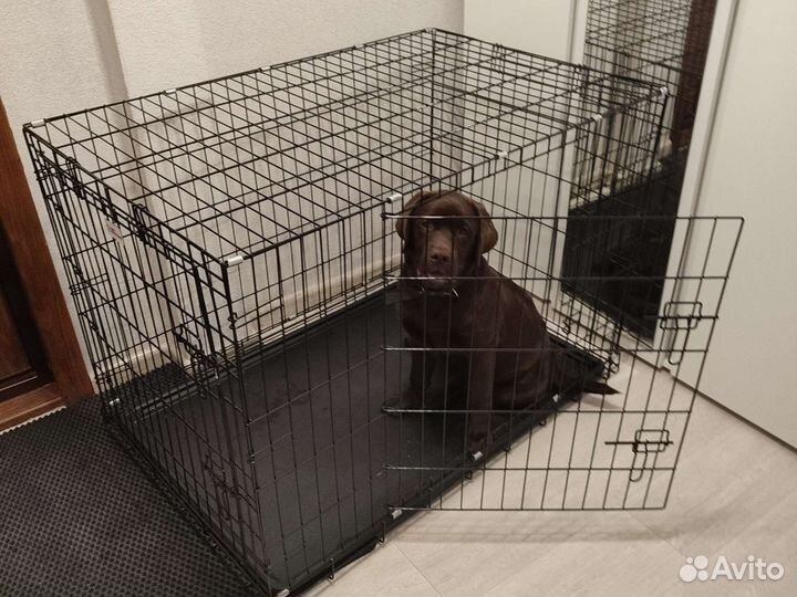 Клетка вольер для большой собаки бу