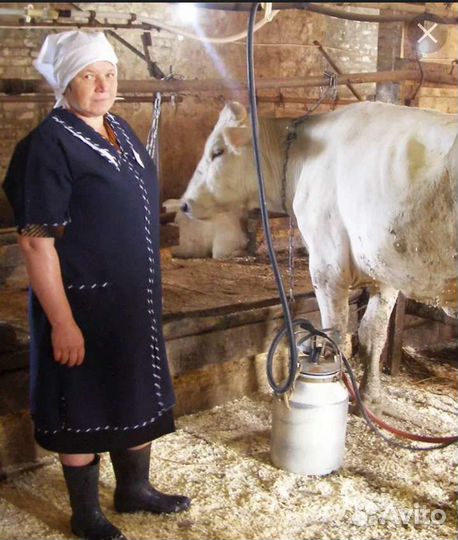 Помощник/помощница на ферму