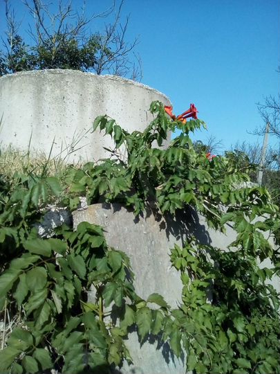 Участок 8,5 сот. (ИЖС)