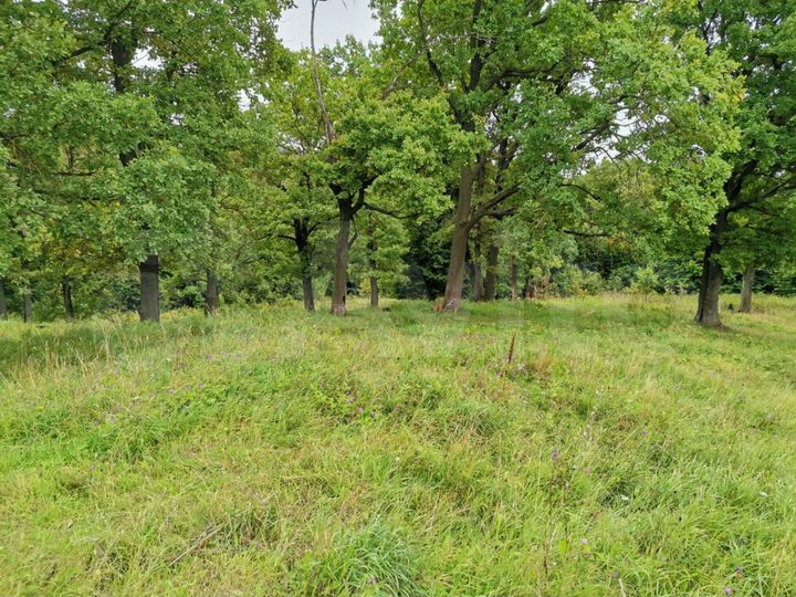 Участок 12 сот. (ИЖС)