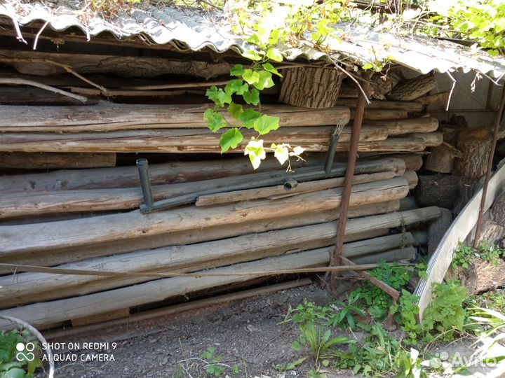 Дрова сосновые