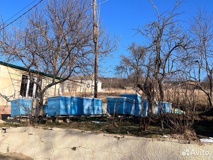 Продаются домики для пчел