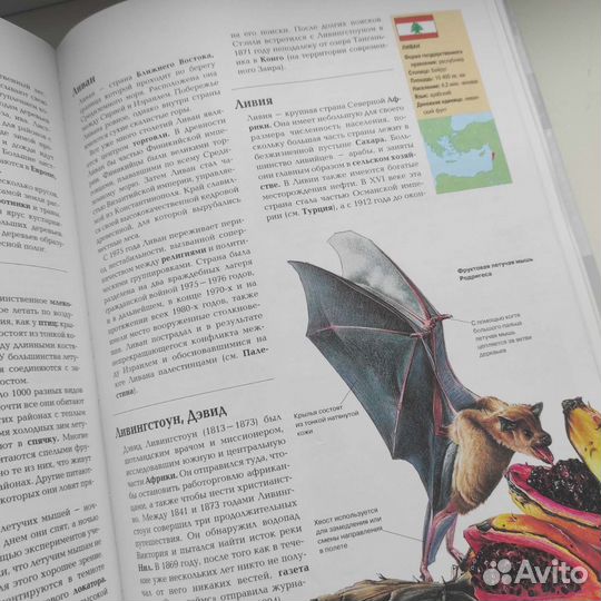 Большая энциклопедия: хочу все знать