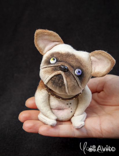 Смешной тедди бульдог