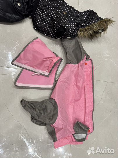 Одежда для шпица собаки