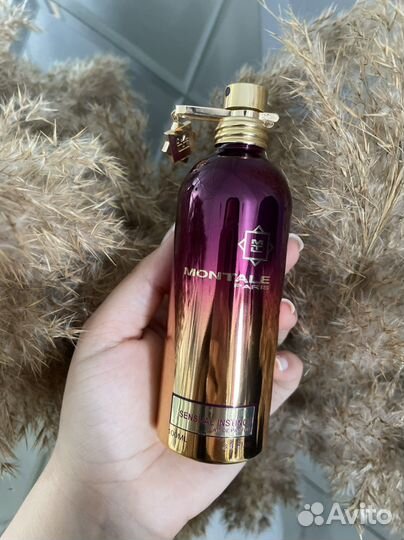 Montale sensual instinct