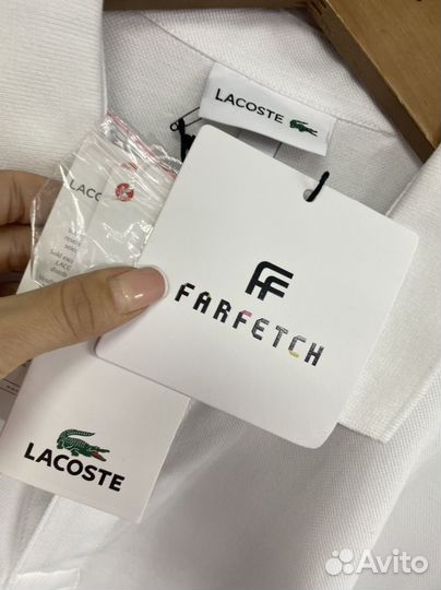 Поло Lacoste