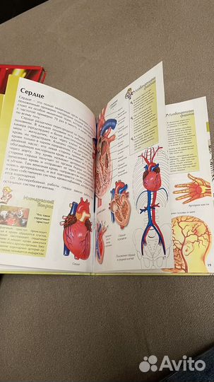 Энциклопедия для детей