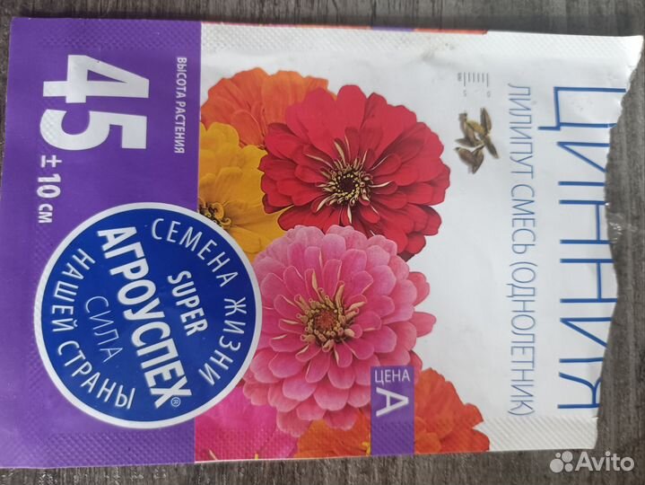 Рассада цветов