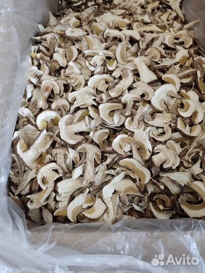 Сухие белые грибы