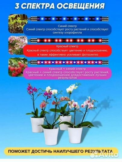 Новая фитолампа для растений, с таймером