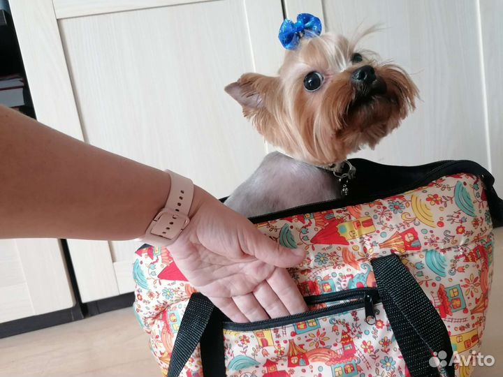 Сумка переноска для маленьких собак