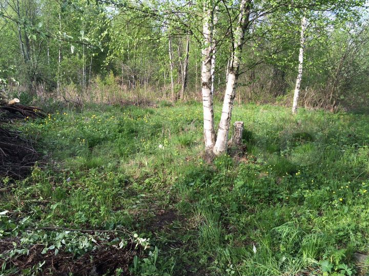 Дача 45 м² на участке 5 сот.