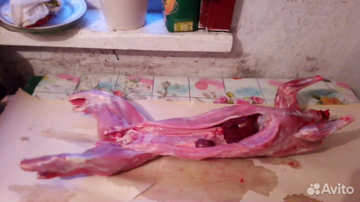 Продукты питания