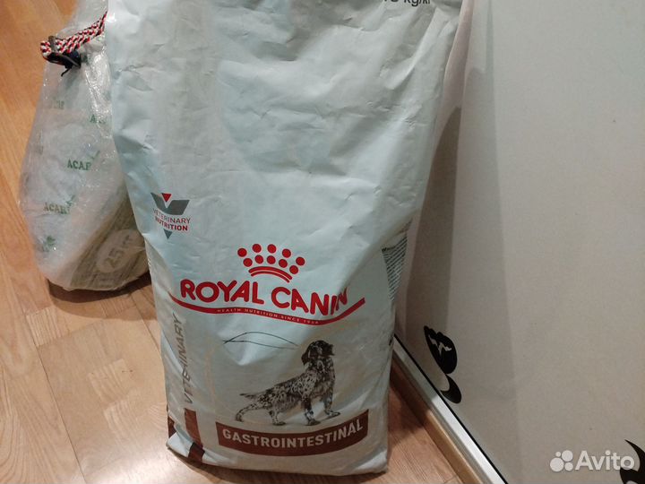 Корм для собак, gastrointestinal