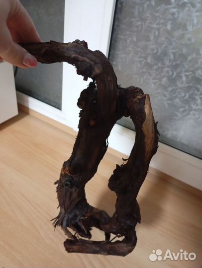 Коряга виноградный ствол