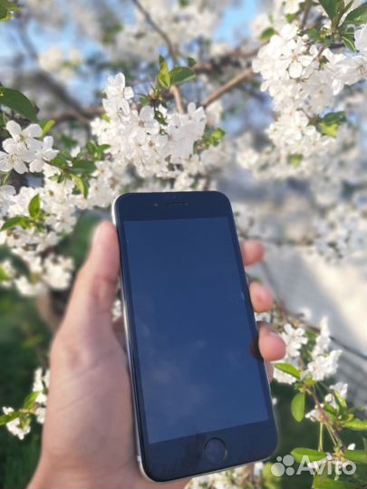 iPhone SE (2020), 128 ГБ