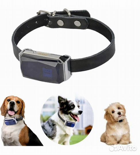 Gps ошейник для собак новый Hadog-03
