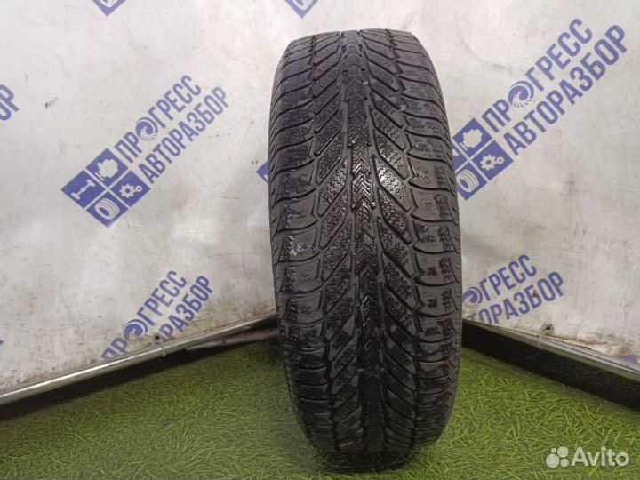Fate Antartika AR-270 195/60 R15 88T