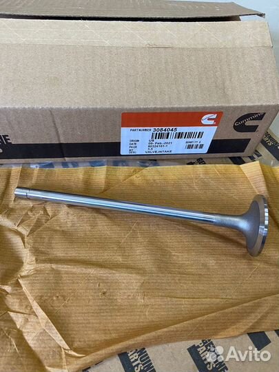 Клапан впускной Cummins N14