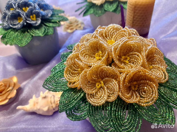 Милые фиалочки