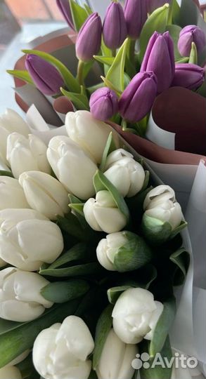 Тюльпаны к 8 марта букеты