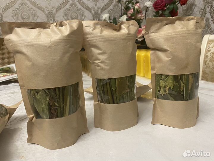 Рододендрон адамса