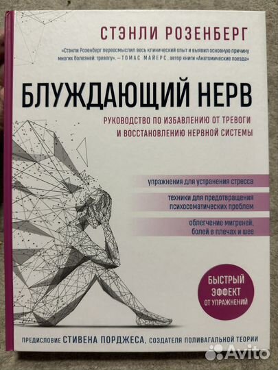 Блуждающий нерв - Стэнли Розенберг