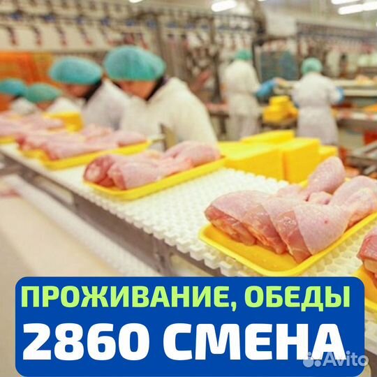 Выезд из Бузулук, вахта Пенза, упаковщик