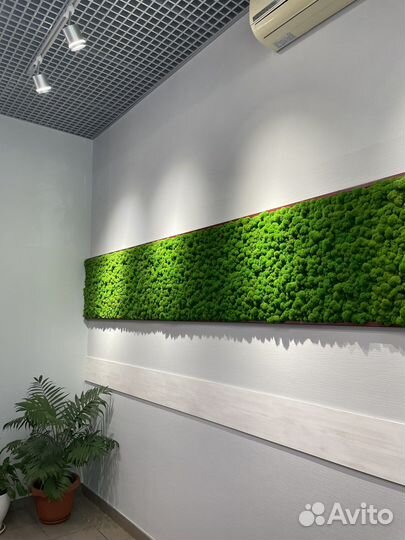 Мох Панно и Панели Готовые По Инд.размерам