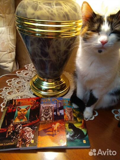 Коты воители манга и книги