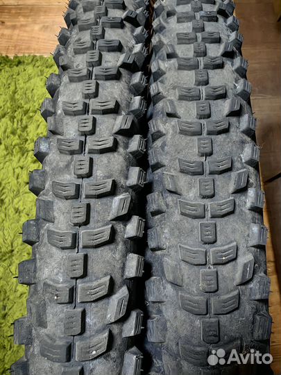 Шины schwalbe smart sam 2.25 29
