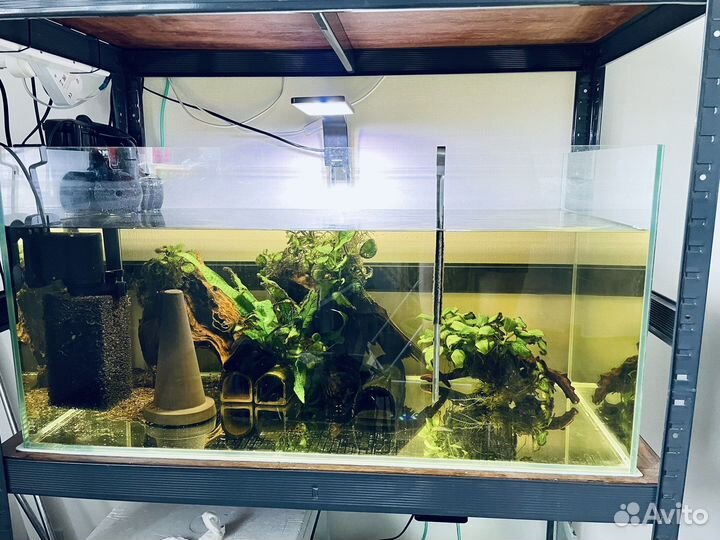Аквариум 125л